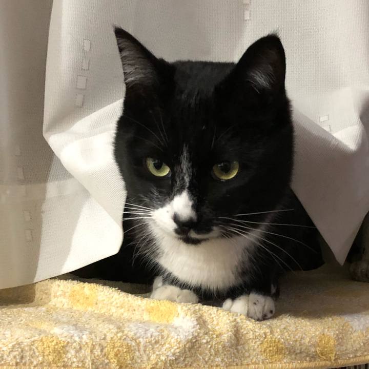 789321ba 0def 46a9 9496 4aaf45803957 1519793787319