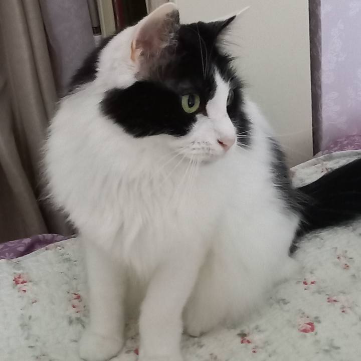 78932e90 28a0 45e9 98da 75b081820b47 1621896376333