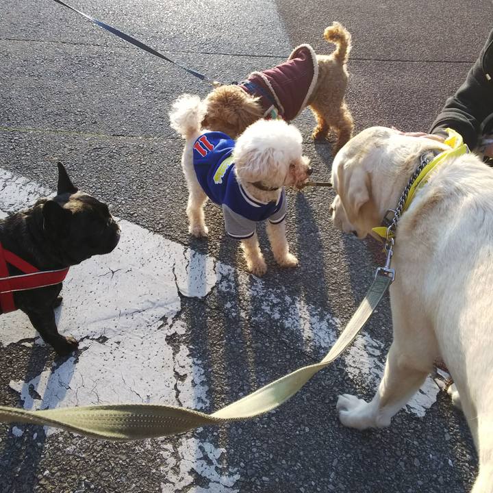 78933a88 4d46 4bb2 808d 4d5a4f6328c2 1551772117775