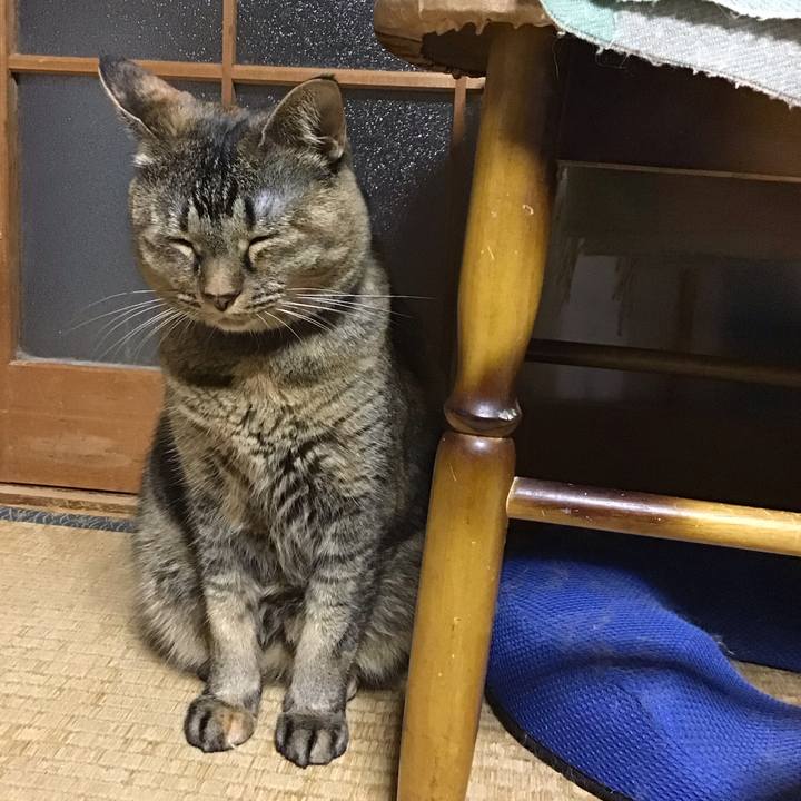 78934afb cd33 49ae 80b4 7851df5e94bb 1729252300684