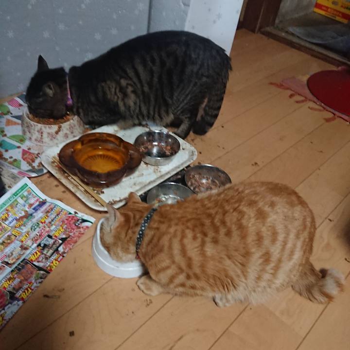 78937cb4 a924 49aa bf92 5bdeeb2ed12c 1648970366410