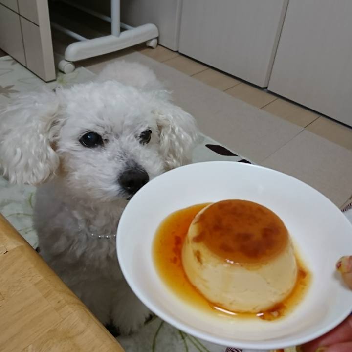 78939c63 035d 437f 910e 5f70047bd89c 1589865337373