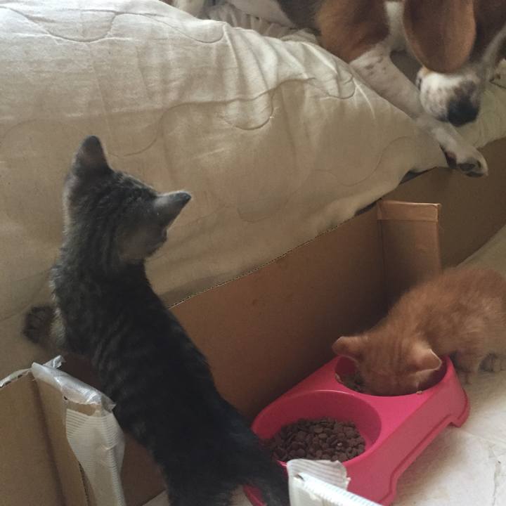 78939df8 84f1 4960 93a2 7f8278431756 1533163921075