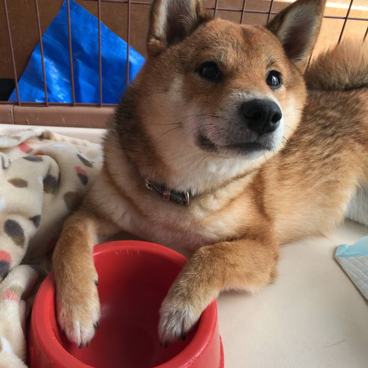 7893b5a6 af00 4bd3 9084 f793d54299f8 1525216114771