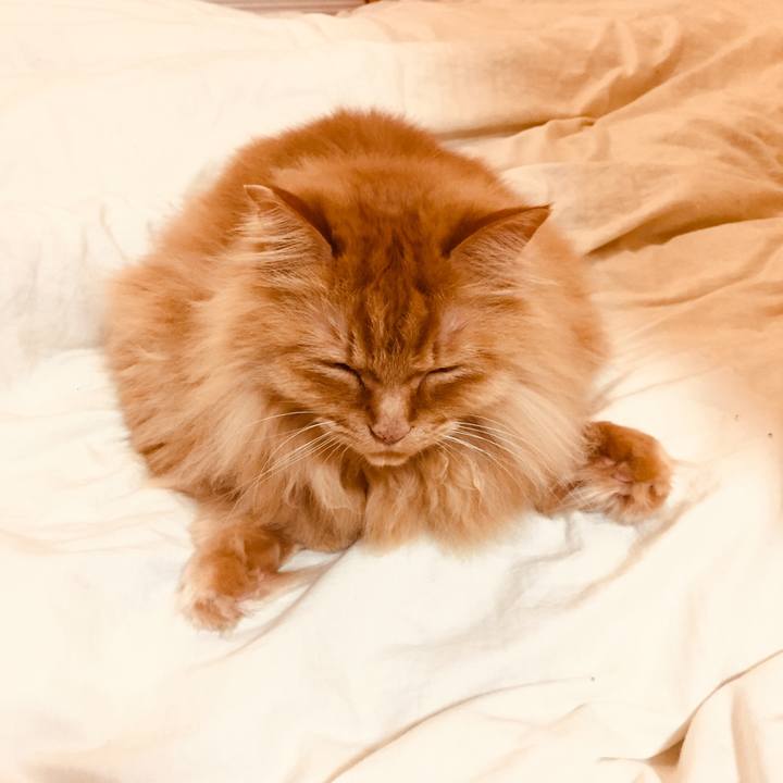 7893b80e 0dad 48d4 85ff 3ded622de16e 1589237602208