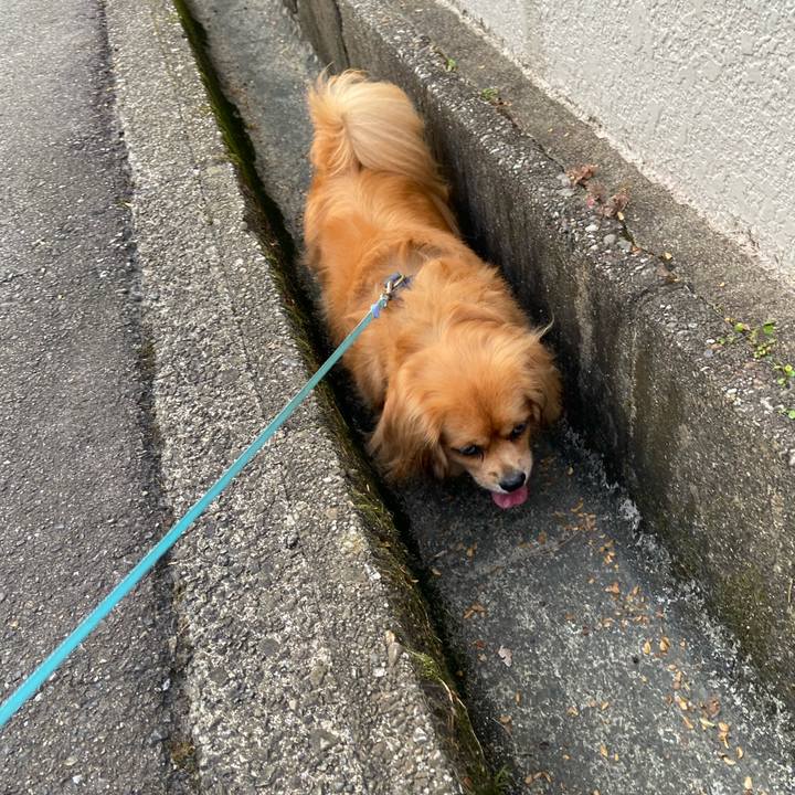 7893b915 becb 4f03 af50 5627ab3a969f 1598392522820