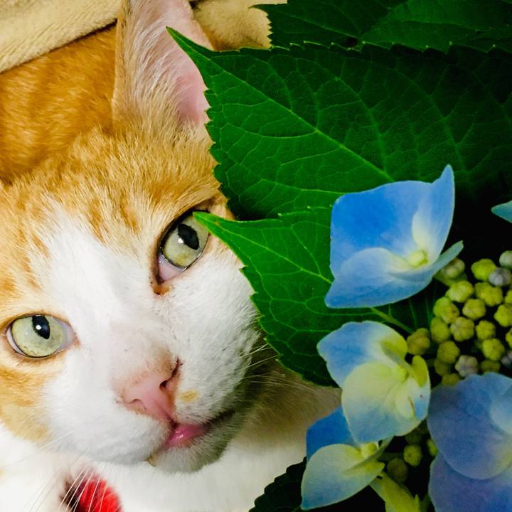 7893cfaa 243c 4349 9df0 a0b964d26821 1562660772308