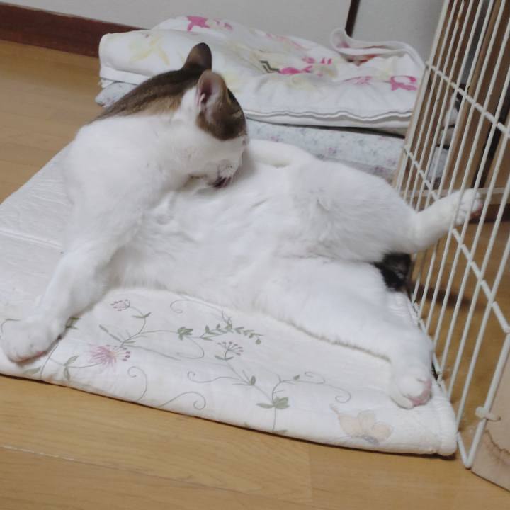 78940f27 7d85 4e92 9772 48cbd722f38c 1673668185496