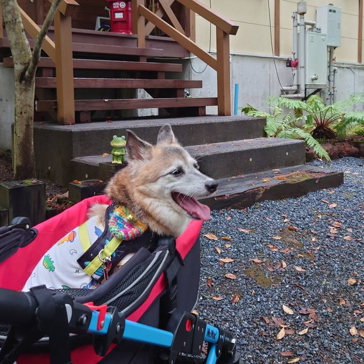 7894327b fe10 4896 8f2d 959e5c3dedf7 1757936452630