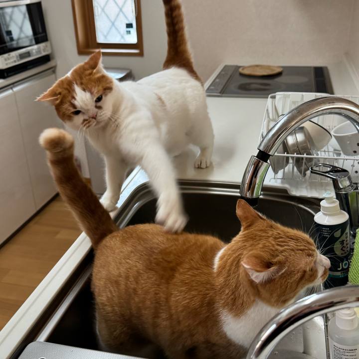 789445dc bc27 4f87 a67a 0d48b96522a0 1763269093190