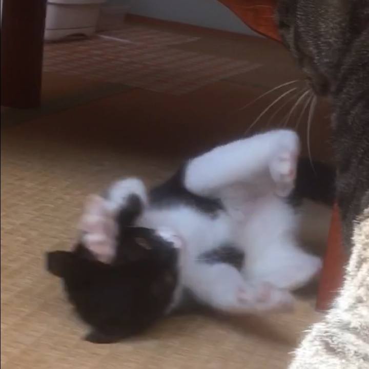 7894493c ea1c 462f 8f5c f43decb587eb 1616332398221