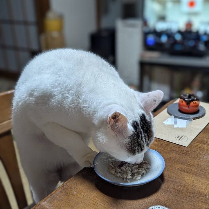 78944aa5 cd1c 42c7 8dd5 b167a7c64a17 1732365528686