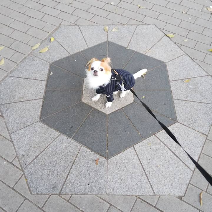 789488d8 4745 46f6 a7f7 76c45da4bbb6 1538642551682