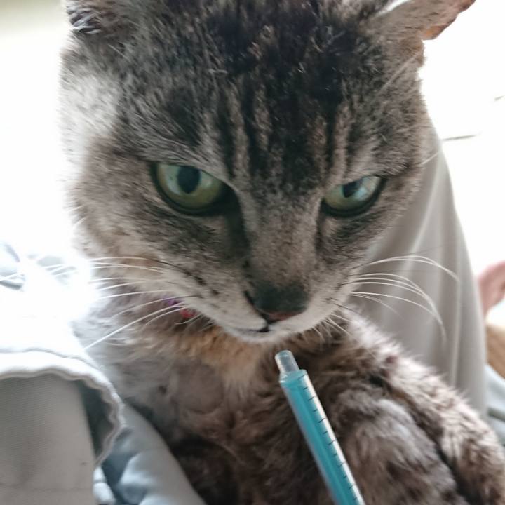 7894ac9d 4103 48a4 861d 3755a5e12392 1593034881644