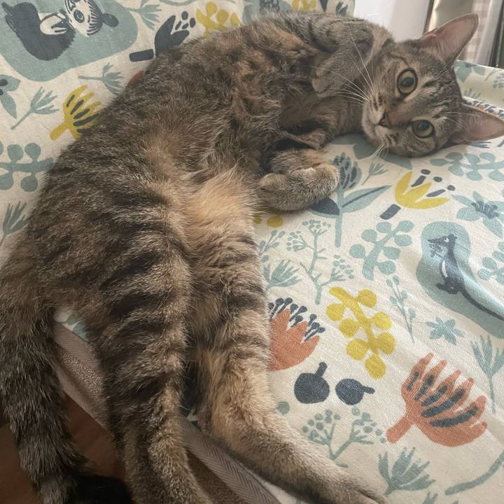 7894b16d 1b6c 457c 81da dcc98e05f8bb 1689894707339