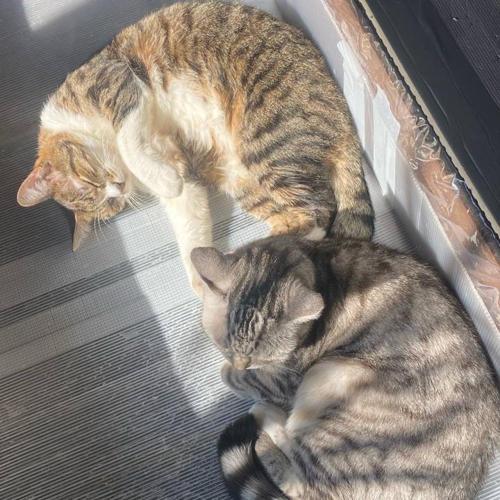 7894fc3b 79da 4833 9add e4c2f1c883e3 1668833082892