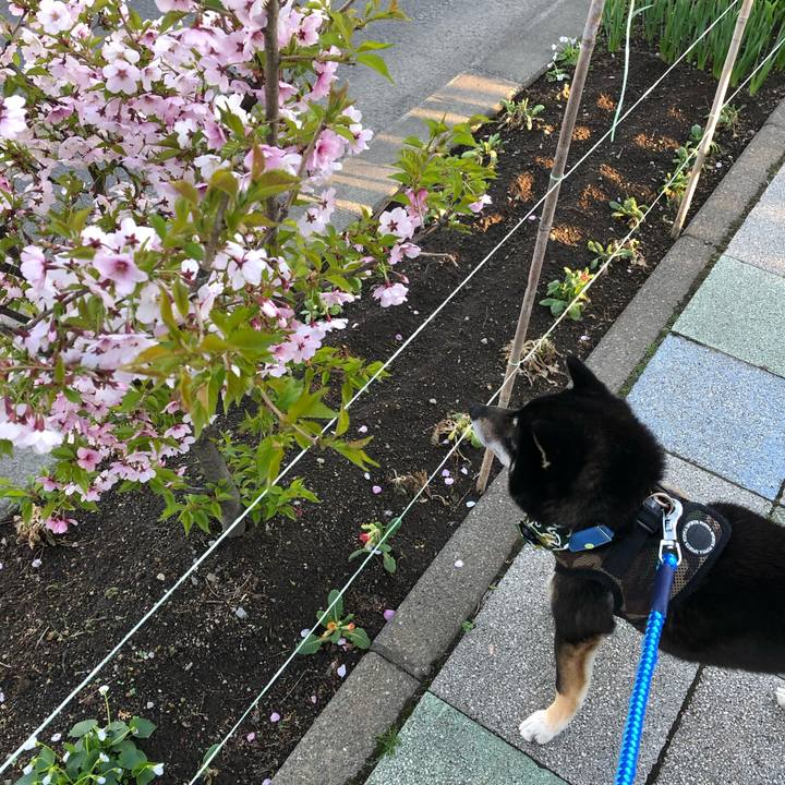 78950725 c3b9 4d45 8275 9b472283951c 1557360078348