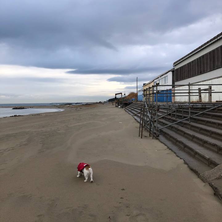 78950fa1 c986 4c3a 84d4 e551f12a92ba 1606950918174