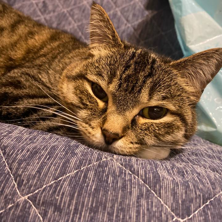 78952d26 ab16 4114 962c 896ee4cb28a5 1652354093431