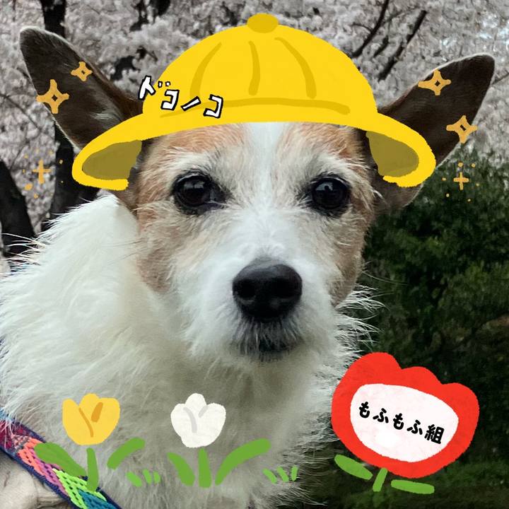 78955cbb cdad 4a19 9369 6597db48e0ef 1712369438622