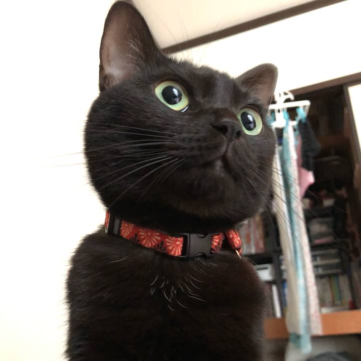 78958beb 2d56 483b a4dc 51e095569fa6 1542252713226