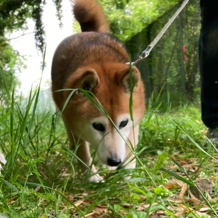 7895bbbe 5247 4994 be25 dbc8e58d919d 1746141632274