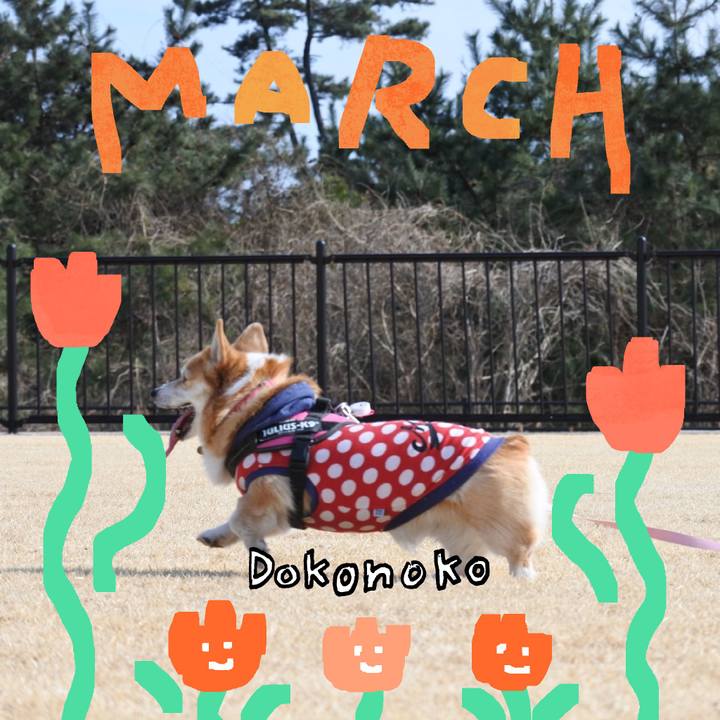 7895d7fa b644 4aa0 87d3 1a102d763c65 1741350115651