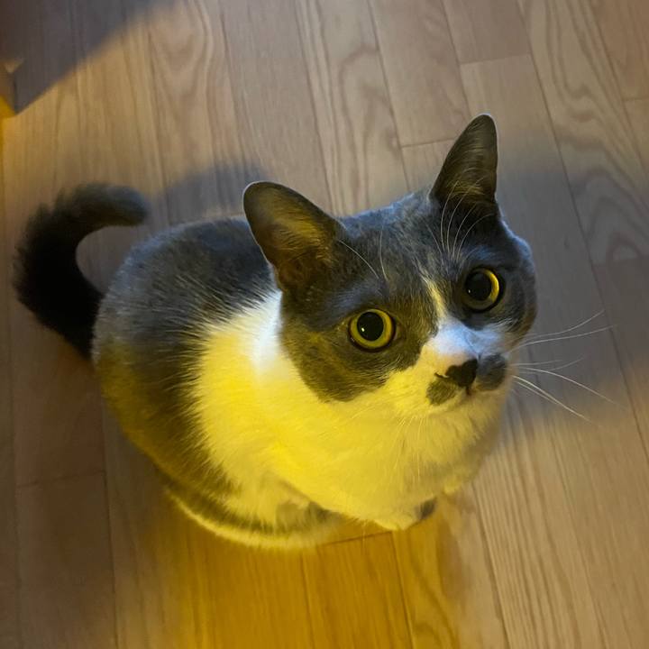 78960059 9a76 4ef6 befc c2ad35745d78 1744925061757