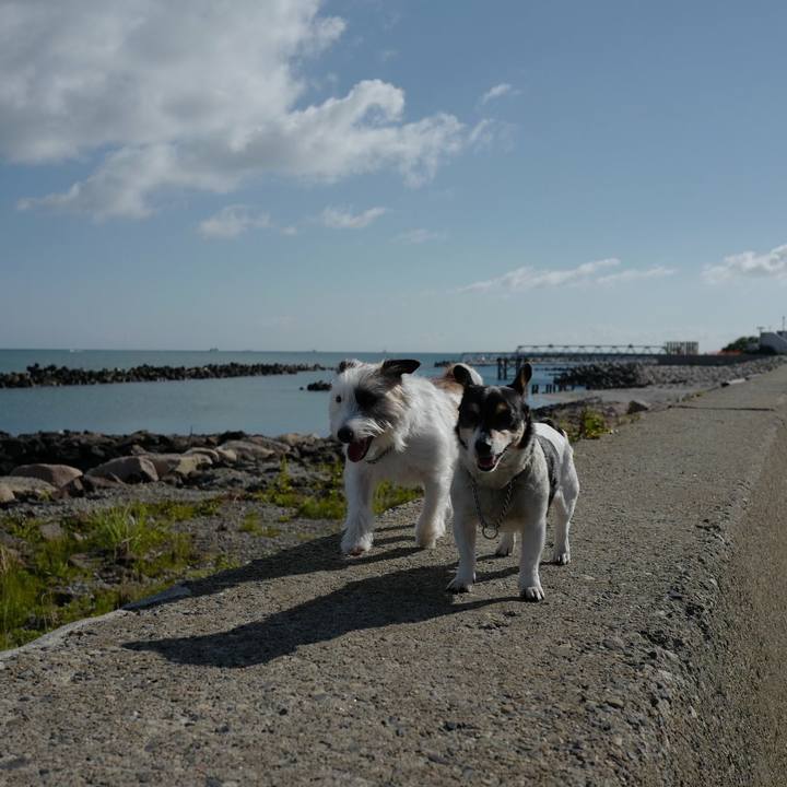 789602eb 4765 4601 9fcb 02704e2ed8ab 1529637185447