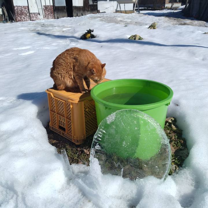 789618bb bfdd 4b1d 83c4 d8b84717c09e 1707789708165