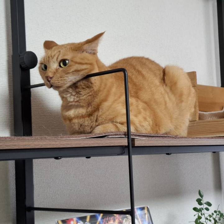 78962722 76db 42db af5b 1eb027dd190c 1723986506996