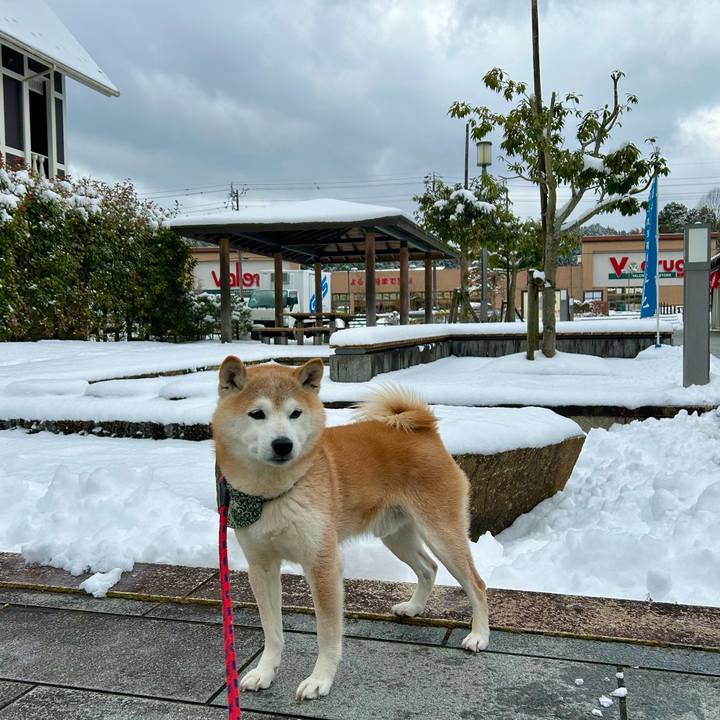 78963046 ed23 4321 a6eb 0c92e79910cd 1738928848213