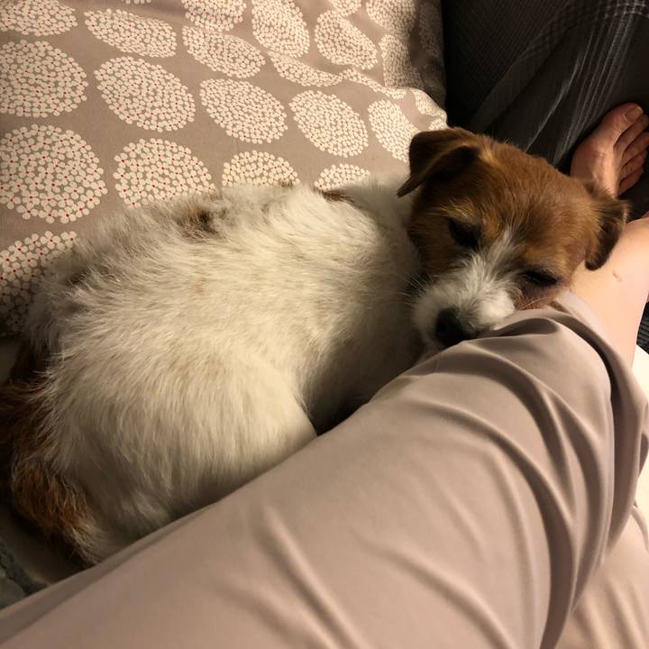 78964f09 39b5 4933 bbea 63f4d2d16611 1593268420825