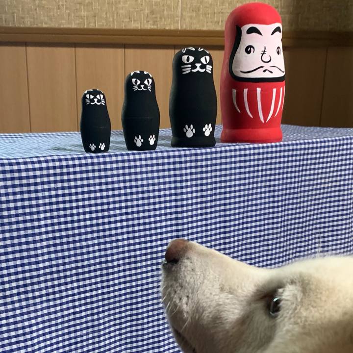 78965a31 35bb 4e55 b934 f3f8e953956f 1627783612067