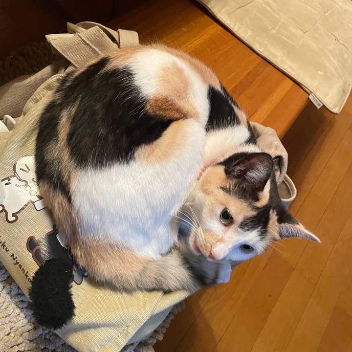 78965c3d 18bf 4759 aa2a 8c8154e88c97 1716893291483