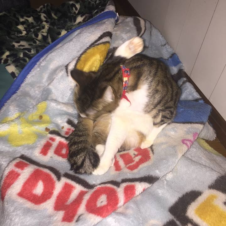 78968b0b a448 4e44 9164 16f71174dc07 1547591590207