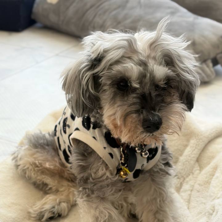 7896b8ca 5b65 42fb afe7 2d592c34bdea 1774758928423