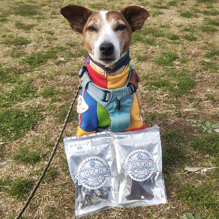 7897088f e36b 4086 b7c6 9f20e4677047 1773573685717