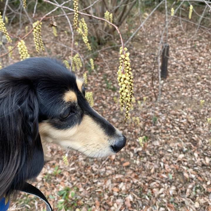 78970fbb b113 42e0 86b3 ced5aac7df49 1711349277793