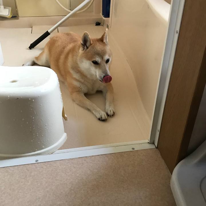 78971801 84f9 49e3 9c1d fcda0ffdc834 1534835002302