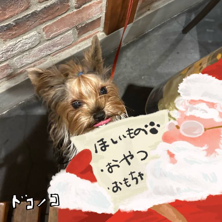 7897282b 494d 4932 ab3f 502d22f792ec 1729259296143