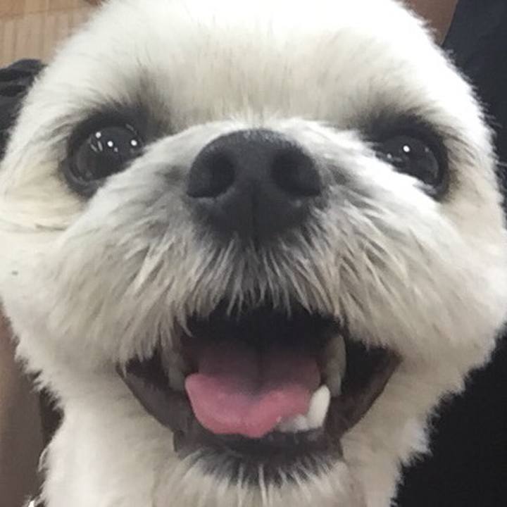 7897722c 7625 4b3d 96cf 7a2c523a59f4 1523700976539