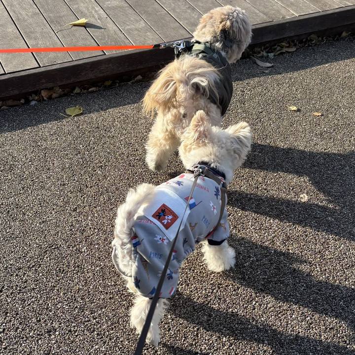 7897be6a 17c4 4d64 8e40 73c87410ec77 1765253602956