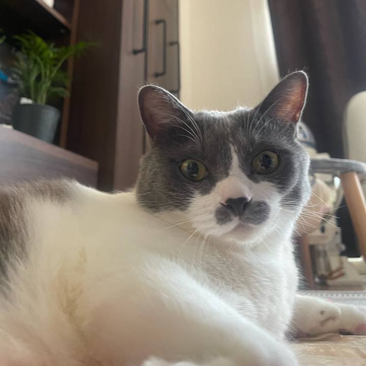 7897bff5 33b5 426a b282 4a4ccba579b5 1753833467886