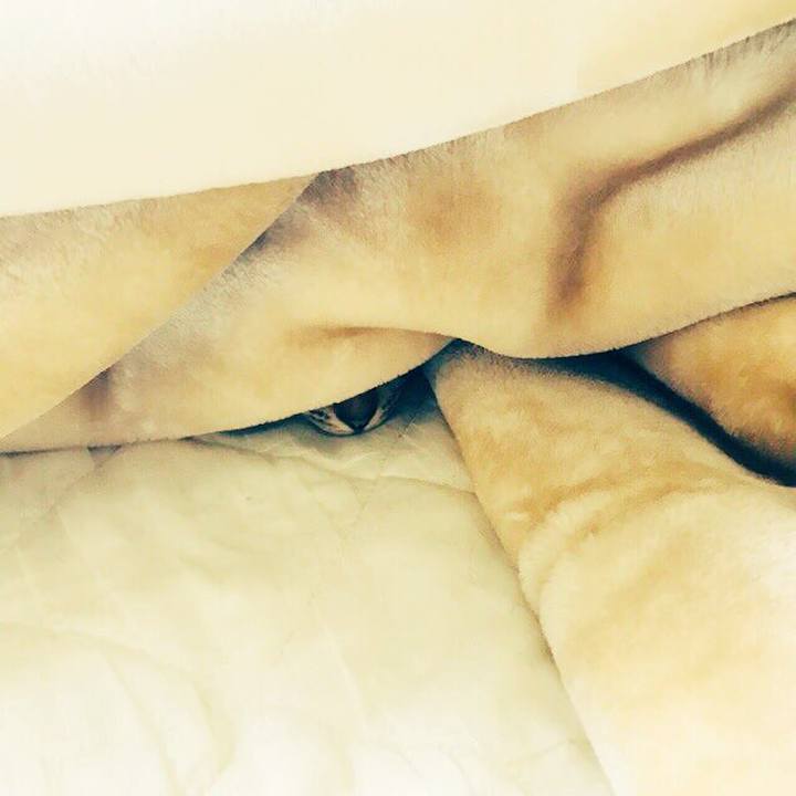 789812bb 027b 4f91 b5e9 9469355a2a92 1510161961807