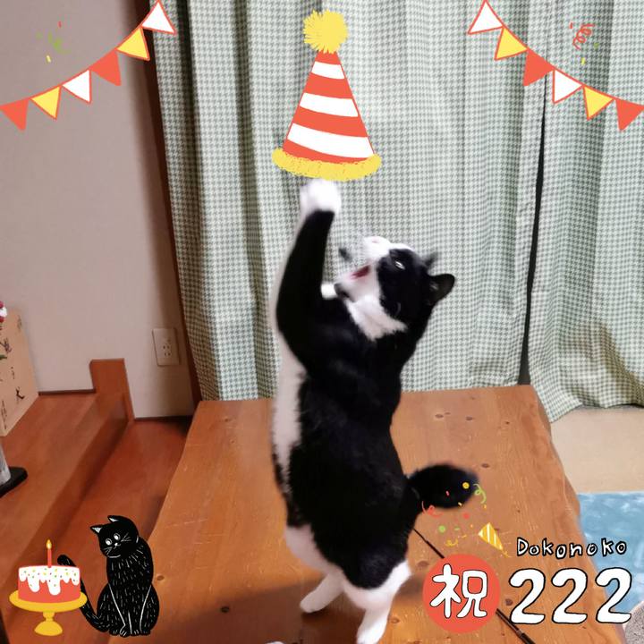 789842c3 beb7 4b34 86ef 8c4842e879e2 1645497542402