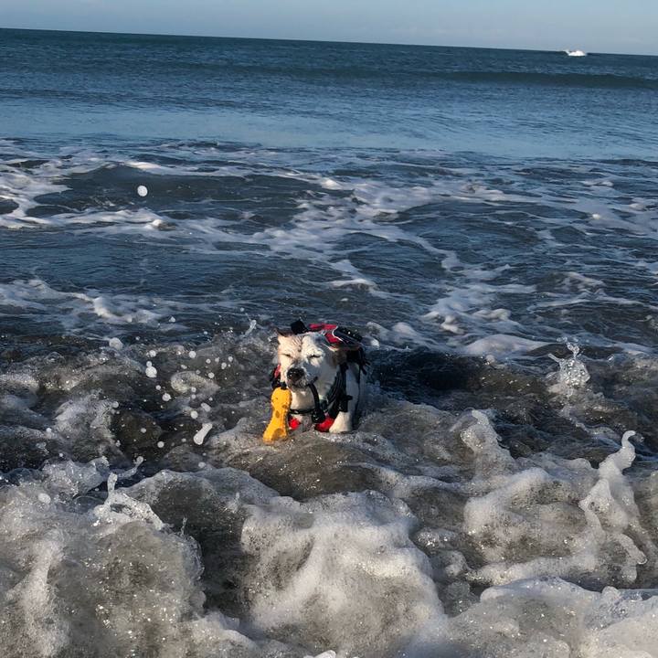 789882c8 b2f0 44c0 81d7 5bc1a2563b1e 1535280024366