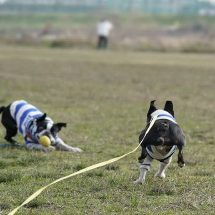 78989894 2b00 46ee b015 7942eb31e40e 1551440271367