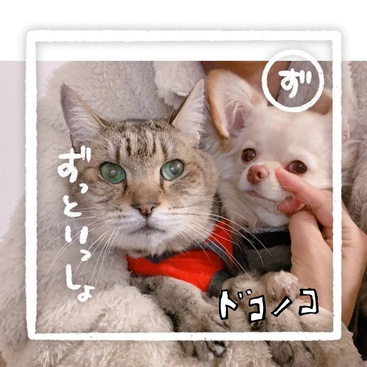 7898c994 cc6a 4488 bdf1 a448f8944b53 1685934044668