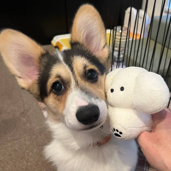 7898fa18 9355 45f2 bd28 ea44157352c8 1774273662836